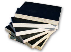 山东郓城县天源木业 扎根古县，匠心筑就绿色建材新高度